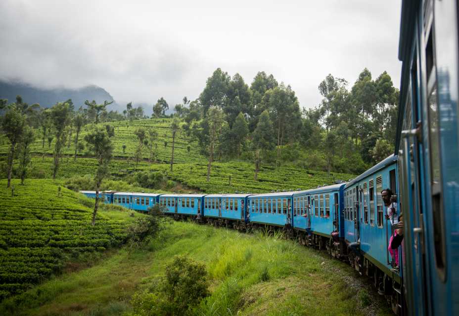 Поезд в Канди, идущий через чайные плантации Нувара-Элия, Шри-Ланка