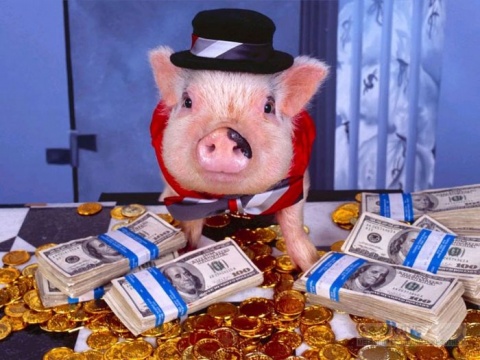 Смотри, эти богатые свиньи!
