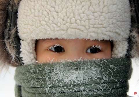 Имеет ли право контролер высаживать ребёнка с автобуса в мороз?