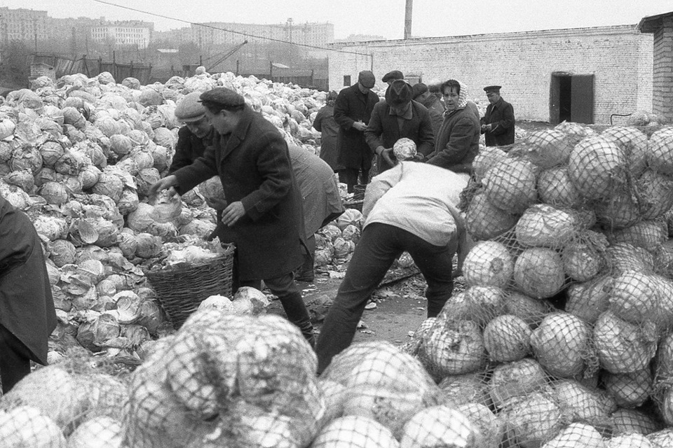 СССР — трудовое рабство и гнилая капуста
