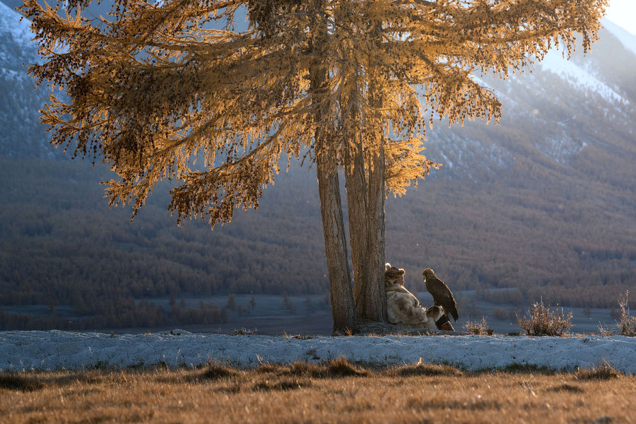 Неописуемой красоты фотографии. Охота с беркутом в Монголии. (потратьте минутку, не пожалеете)