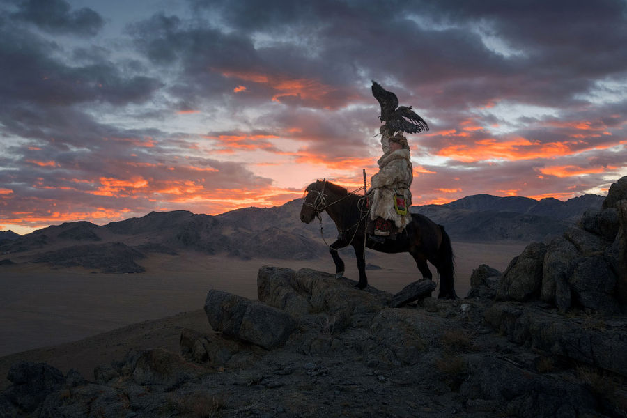 Неописуемой красоты фотографии. Охота с беркутом в Монголии. (потратьте минутку, не пожалеете)